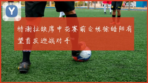 特谢拉缺席申花赛前合练徐皓阳有望首发迎战对手