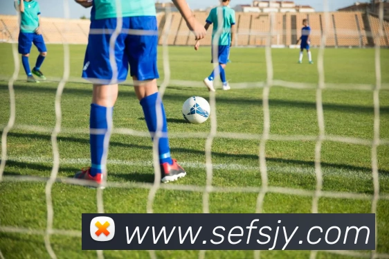 星空体育官网APP 封面图